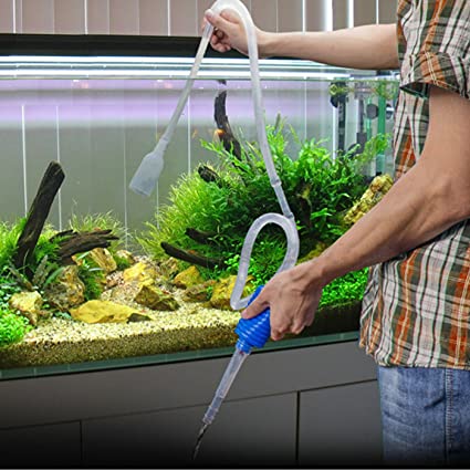 Persona che pulisce il fondo di un acquario con un sifone, aspirando i detriti dal substrato.